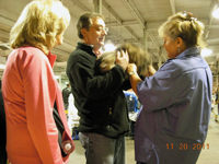 The CFA Intertional Cat Show